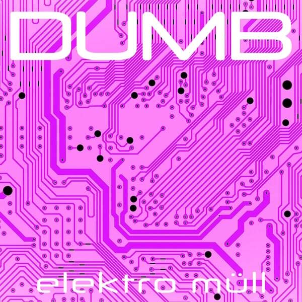 Cover art for DUMB